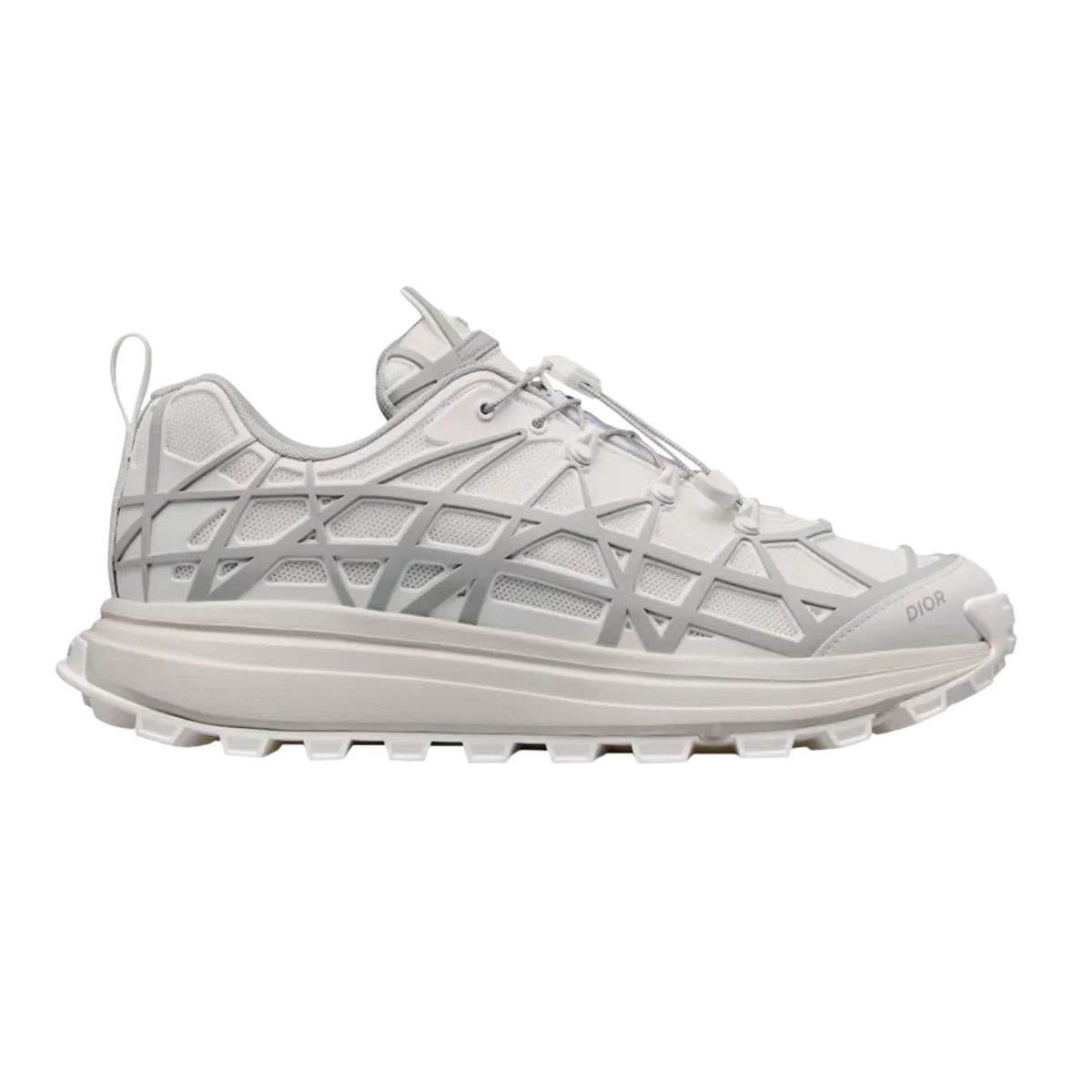Dior B31 Runner Grey