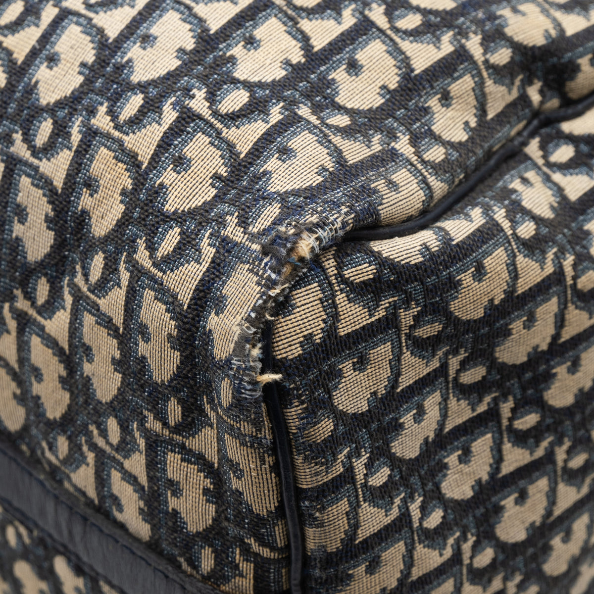 Dior Sac à main Trotter Monogram Bleu