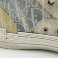 Dior B23 Oblique