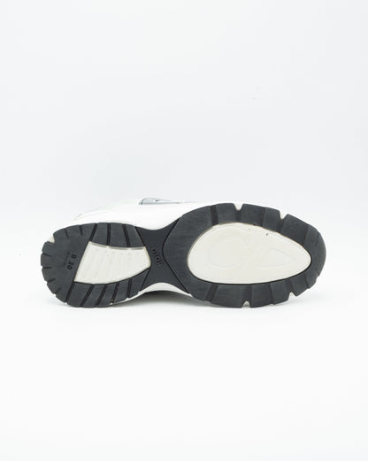 Dior B30 Reflective CD Grey Green