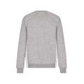 Dior Sweatshirt x Sacai Gris