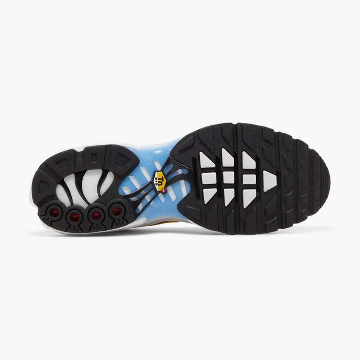 Nike Air Max Plus University Blue White