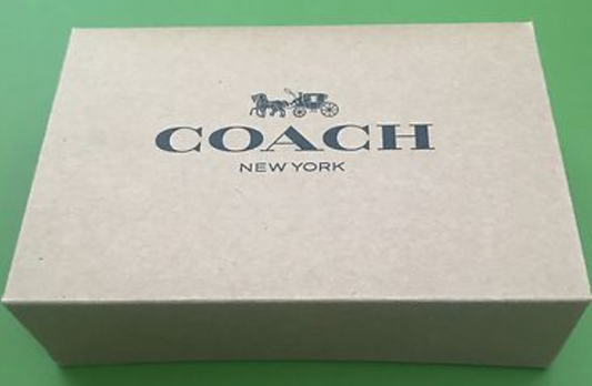 ARTICLE LUXE COACH VU EN LIVE