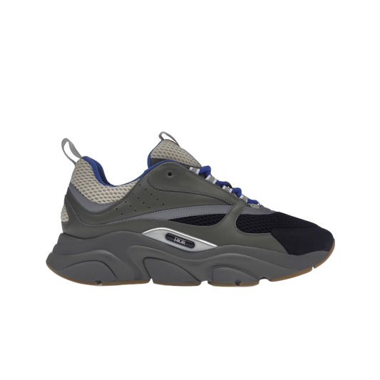 Dior B22 Olive/Blue