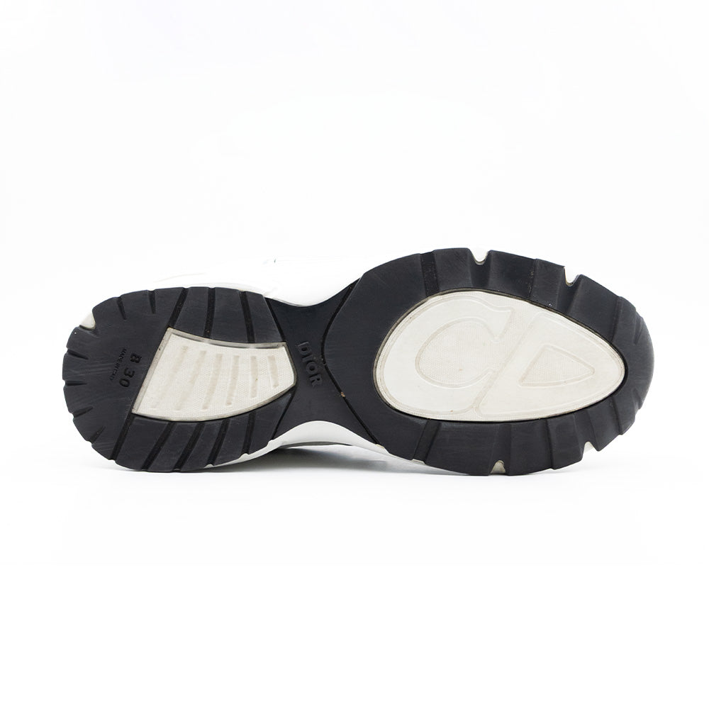Dior B30 Grey White