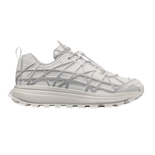 Dior B31 Runner Grey