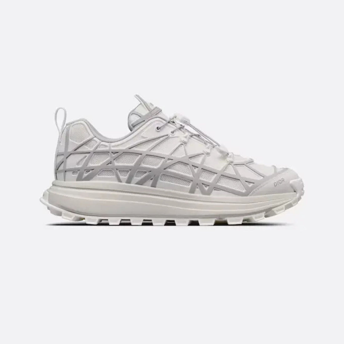 Dior B31 Runner White Grey
