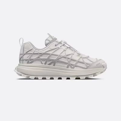 Dior B31 Runner White Grey