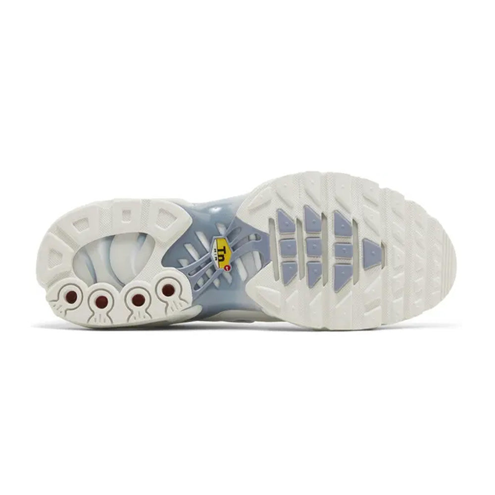 Nike Air Max Plus Ashen Slate