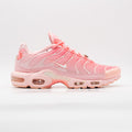 Nike Air Max Plus City Special ATL