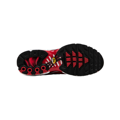 Nike Air Max Plus Red